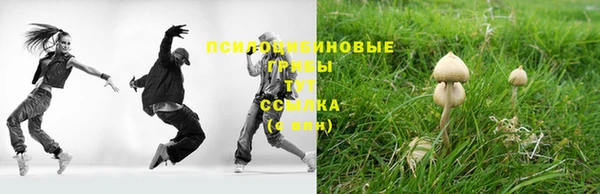 ешки Белоозёрский