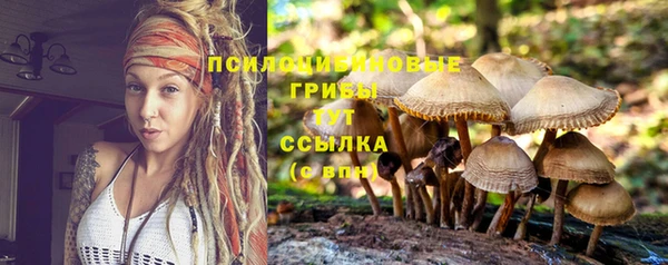 соль ск Беломорск