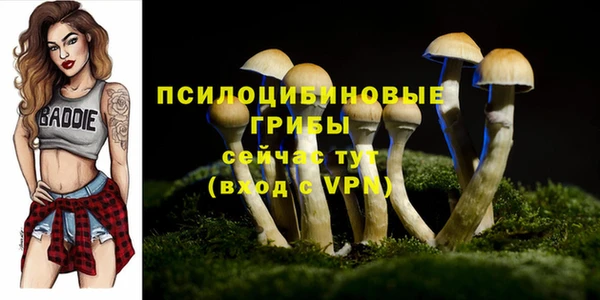 соль ск Беломорск