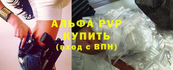 ешки Белокуриха