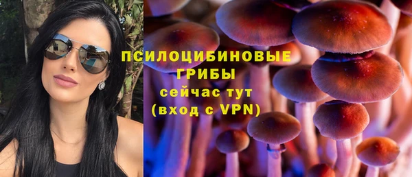 ешки Белоозёрский