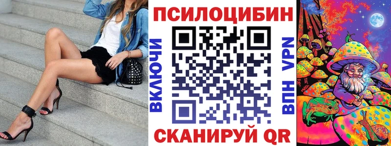 Псилоцибиновые грибы Cubensis  Полесск 